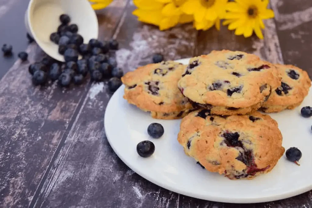 Blueberry Biscuit Recipe